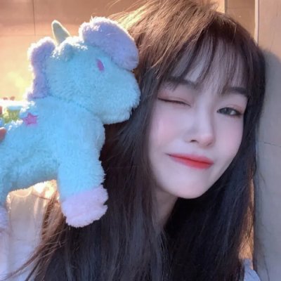 绽放的玫瑰