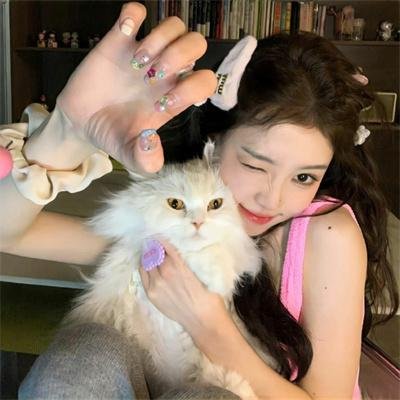 功能失常的猫